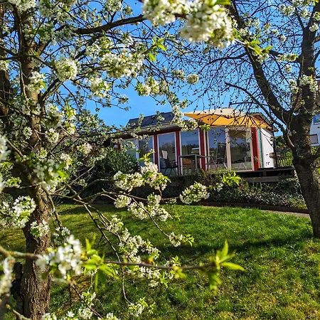 Villa Haus Perthen Berggiesshübel Exterior foto