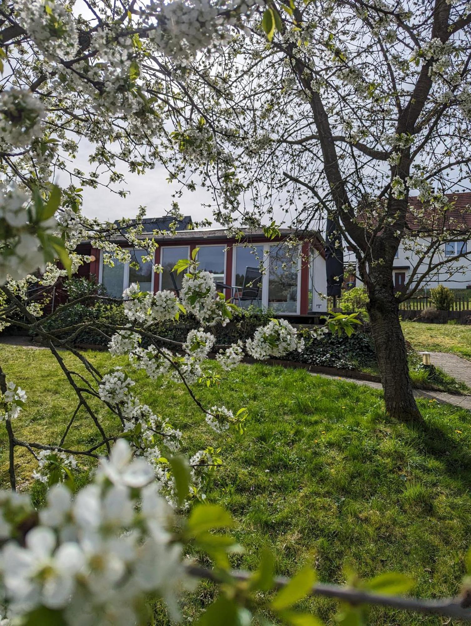 Holiday home Haus Perthen Berggiesshubel